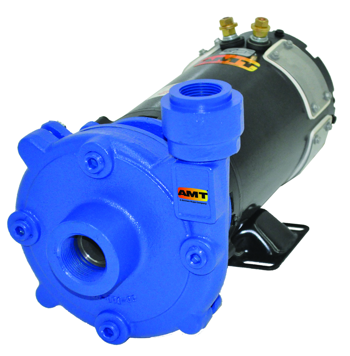 AMT Straight Centrifugal End Suction Chemical Pumps