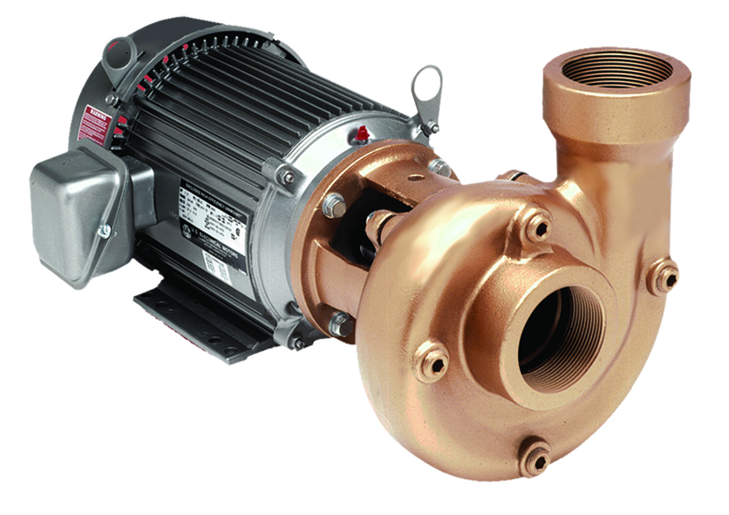 AMT Heavy Duty Straight Centrifugal Pumps