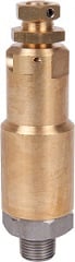 Interpump S31 Safety Relief Valves