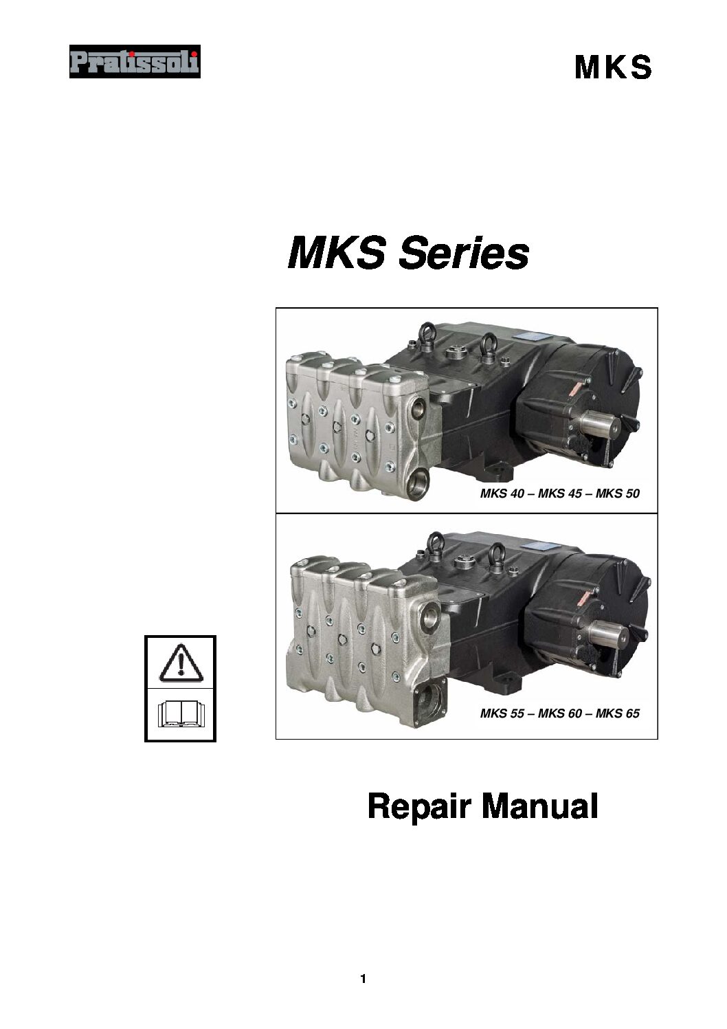 Pratissoli MKS 40/45/50 Series Plunger Pumps Data Sheet