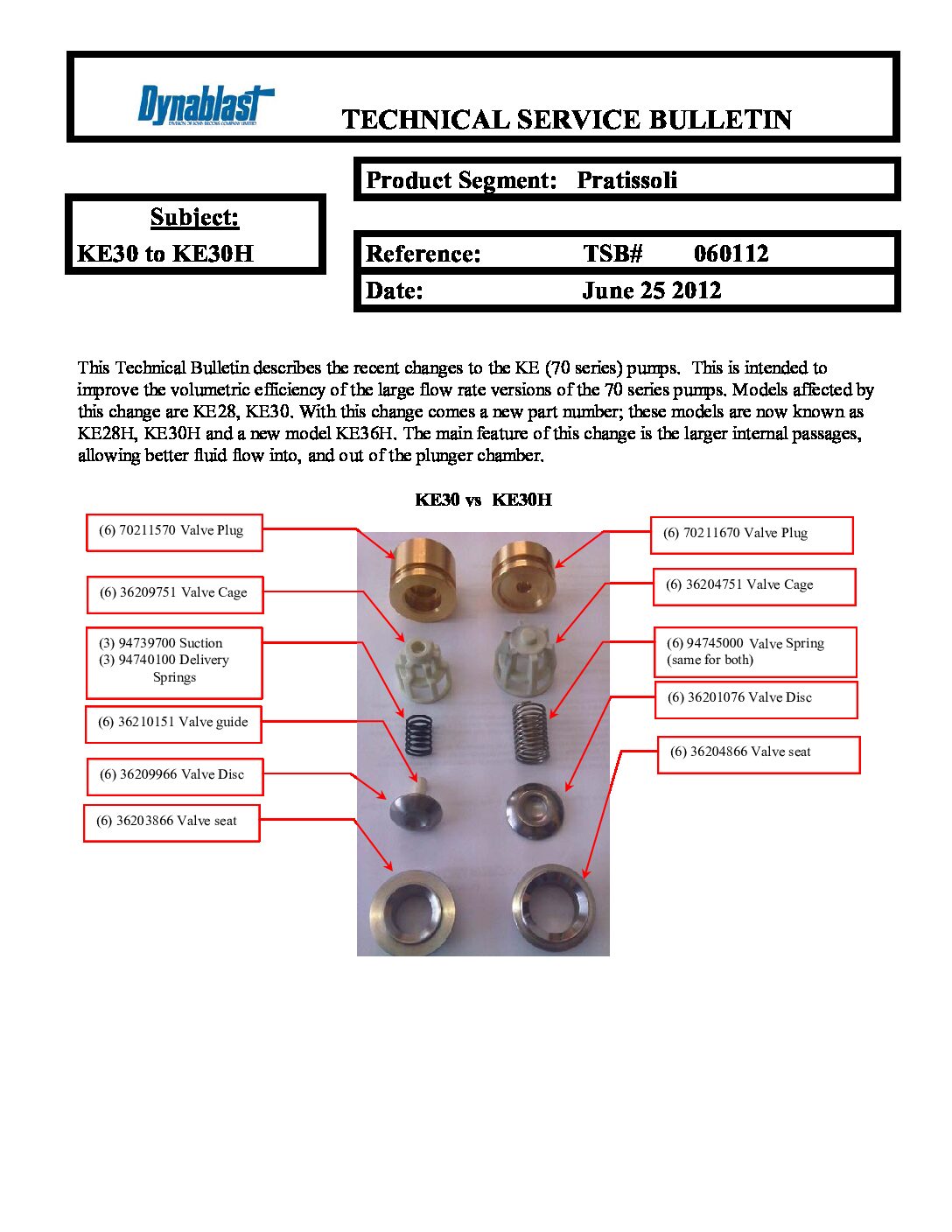 Pratissoli KE and KEH Series Plunger Pumps