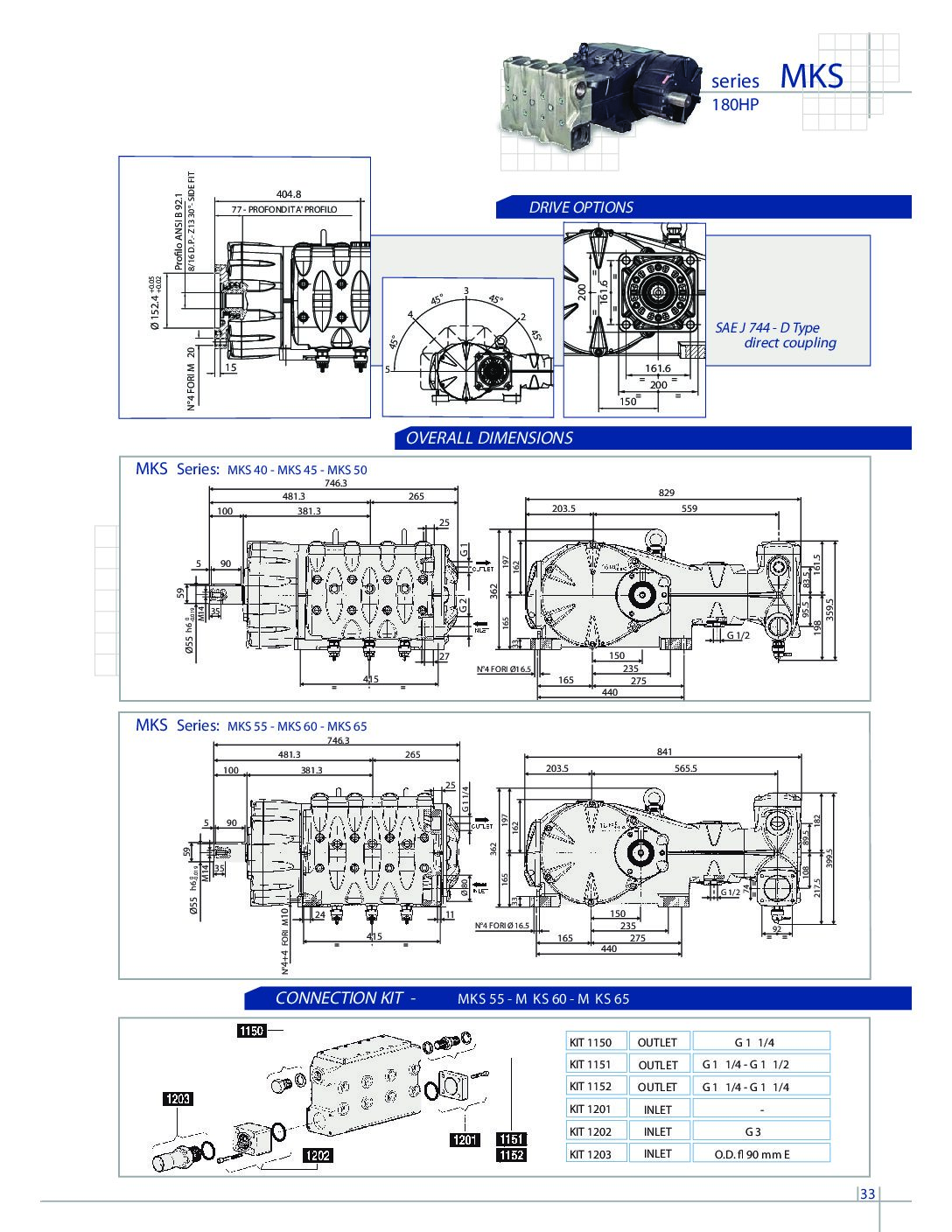 Pratissoli MKS Series Plunger Pumps 3